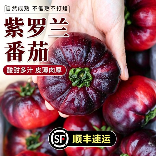 【顺丰】紫罗兰番茄火山番茄酸甜多汁非转基因新鲜现摘生吃西红柿