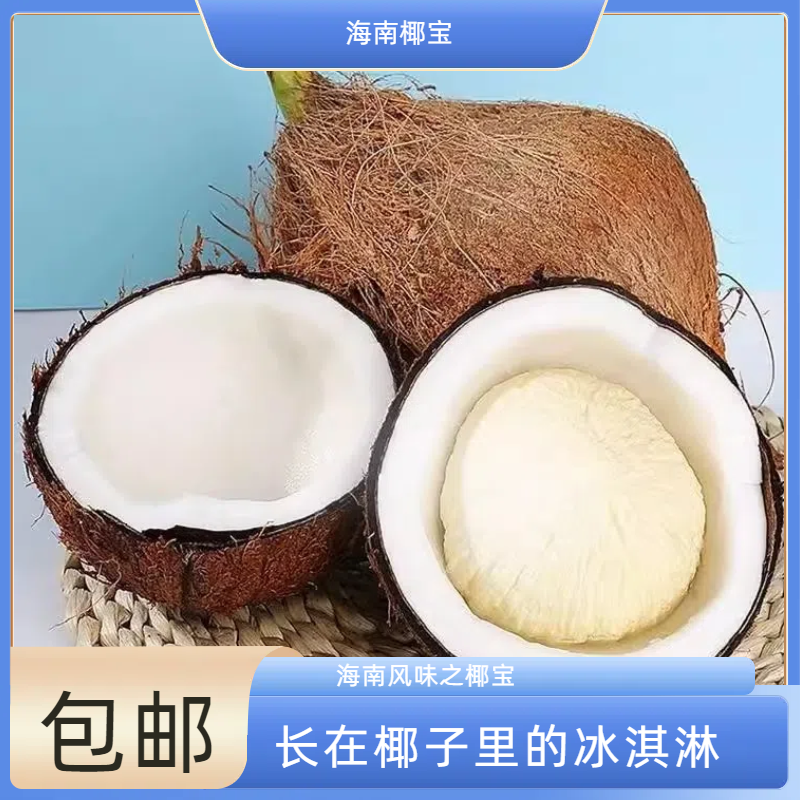 海南椰宝椰子心发芽椰皇椰子芯牛奶椰老椰子椰子盅海皇煲汤孕妇包