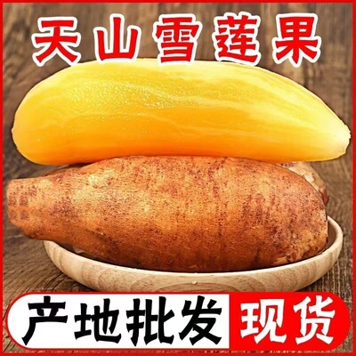 现货现挖云南特级天山黄心雪莲果新鲜水果当季一整箱包邮