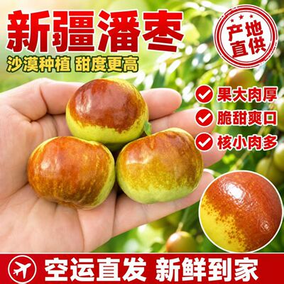 旗舰店大枣蟠枣云南新疆直发