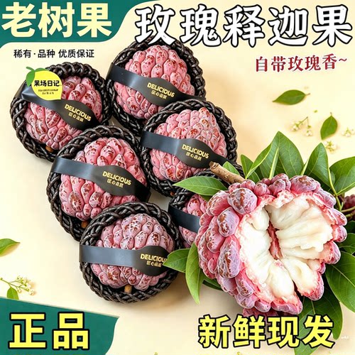 玫瑰红释迦果新鲜当季热带水果软糯香甜红皮佛头牟尼大果孕妇新鲜