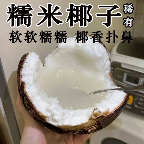 当季新鲜泰国进口品种糯米椰600-900g重椰子泰式甜品绵软糯叽叽水