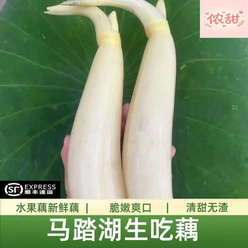 马踏湖白莲藕旗舰店发货脆甜5