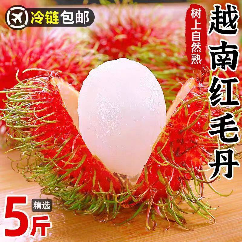 红毛丹新鲜孕妇水果海南红毛丹5斤新鲜毛荔枝正宗毛丹果越南水果