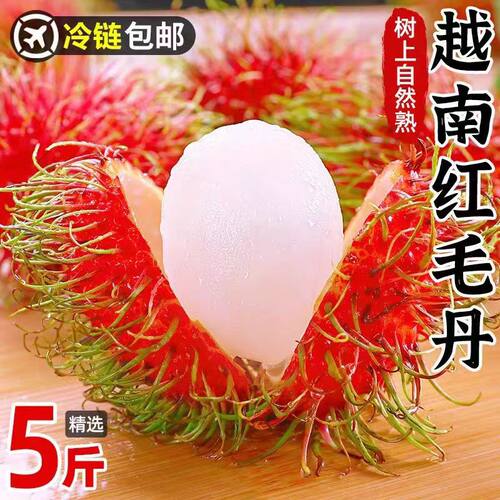 越南红毛丹旗舰店发货现摘顺丰