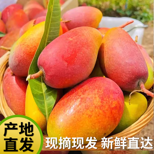 正宗海南贵妃芒10斤新鲜热带水果特产当季整箱三亚树上熟现摘芒果