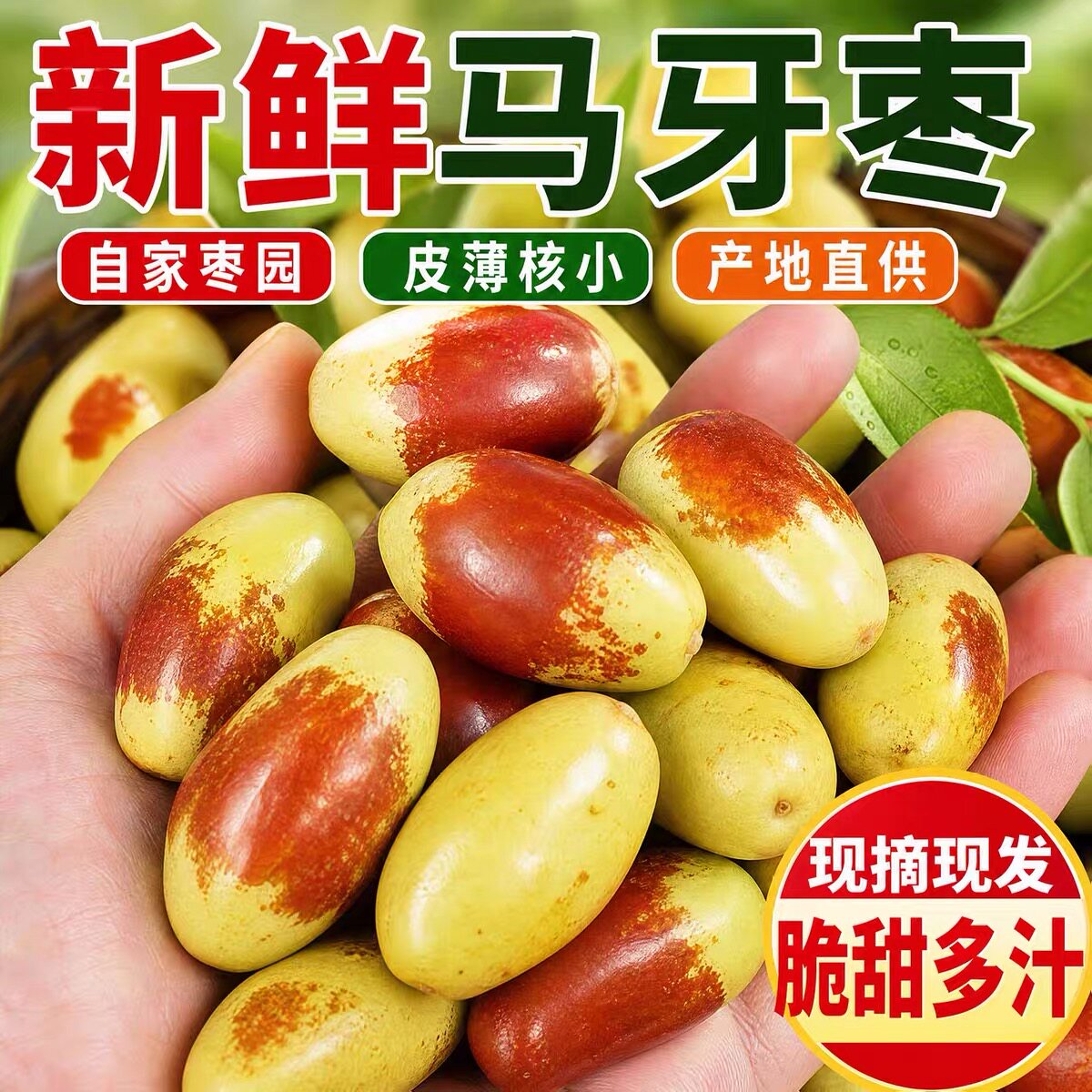 2026山东特产马牙枣鲜枣子弹头枣子新鲜水果非鸡心枣红枣冬枣脆甜