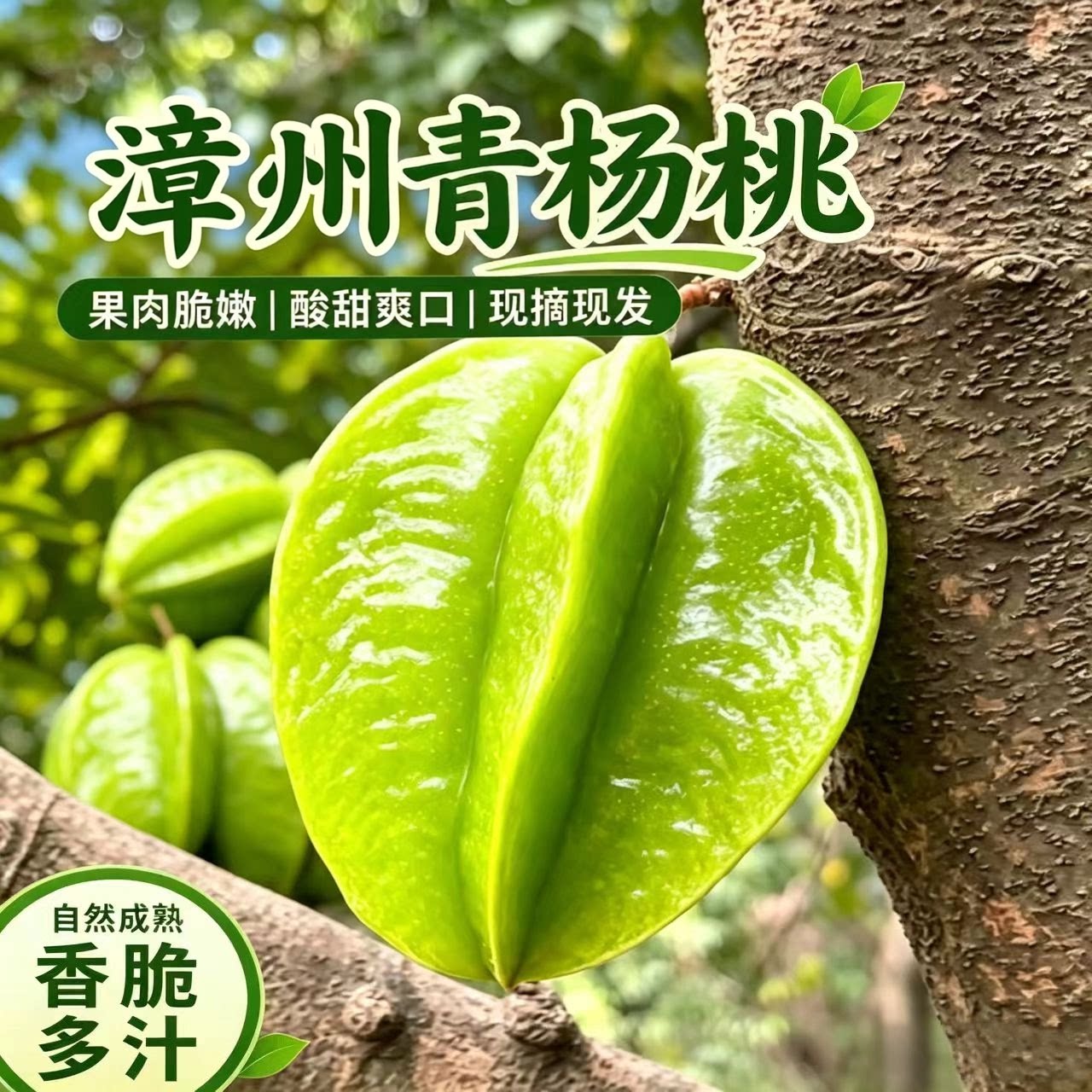 福建漳州杨桃新鲜应季水果现摘现发甜杨桃超甜批发青杨桃青皮图片