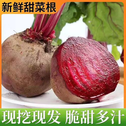 2025年新鲜现挖种植红甜菜根
