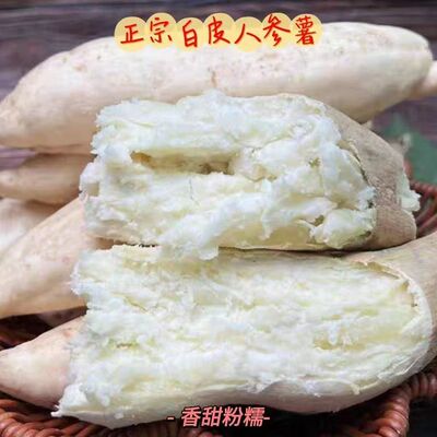 正宗白皮人参薯新鲜粉面番薯5斤牛奶白心地瓜白瓤沙地板栗红薯