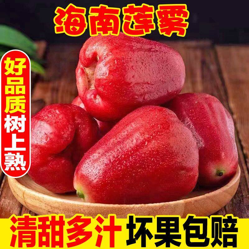 【顺丰】海南红宝石莲雾当季新鲜孕妇水果大果非黑金刚连雾整箱,水产肉类/新鲜蔬果/熟食,莲雾,淘宝优惠券,粉丝福利购,淘宝优惠卷