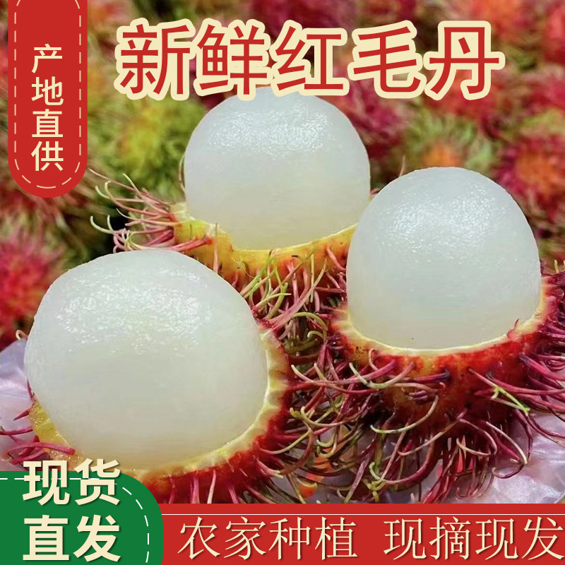 红毛丹新鲜水果海南红毛丹9斤新鲜毛荔枝正宗毛丹果广西顺丰包邮,水产肉类/新鲜蔬果/熟食,毛丹/毛荔枝,淘宝优惠券,粉丝福利购,淘宝优惠卷