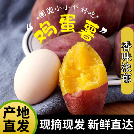 新鲜板栗红薯5斤蛋蛋果临安天目山小香薯鸡蛋圆番薯农家自种地瓜