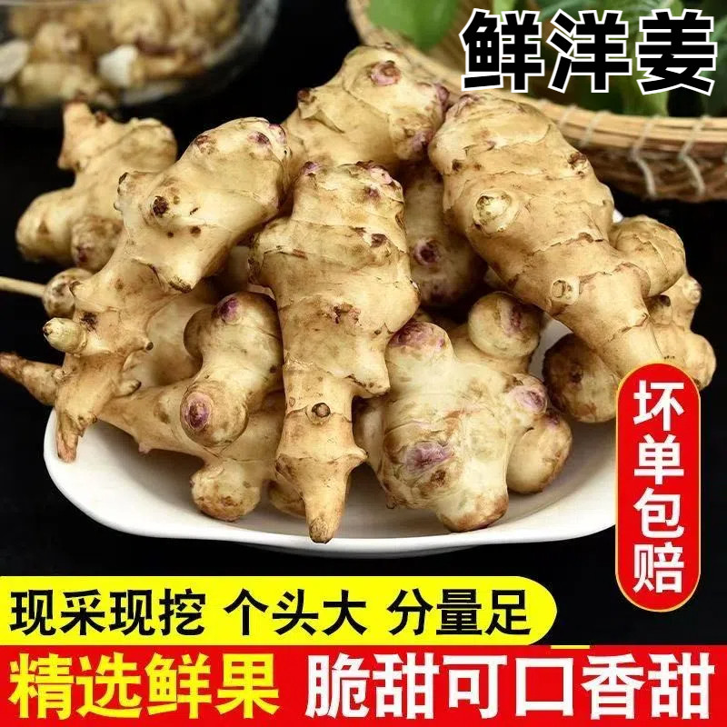 农家洋姜新鲜现挖5斤野生姜不辣鬼子姜生洋姜蔬菜酱菜腌制泡菜10