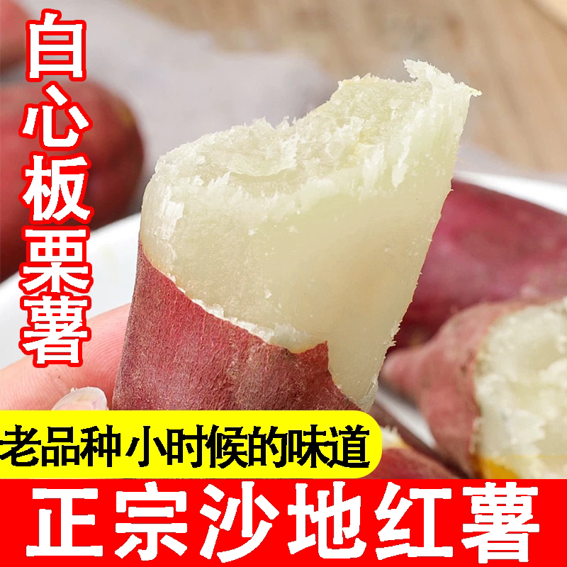 新鲜老品种板栗红薯白心红薯白薯山芋地瓜现挖番薯红皮白心干面薯图片