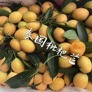 泰国枇杷芒新鲜迷你小芒果5斤装香甜芒孕妇小孩进口新鲜水果顺丰