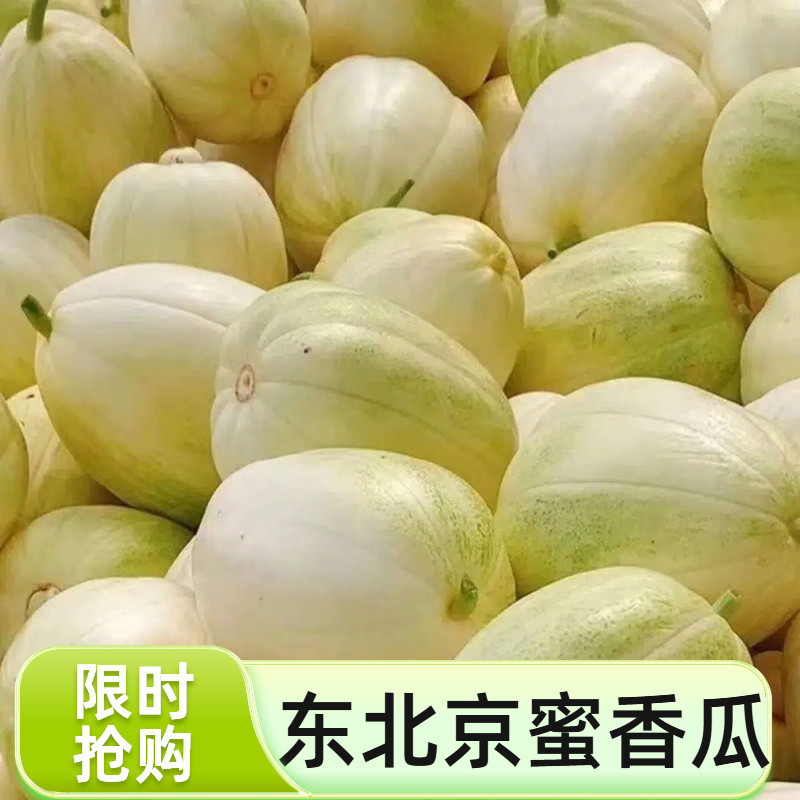 【顺丰包邮】东北香瓜正宗京蜜大地香瓜新鲜白糖罐现摘水果香甜图片