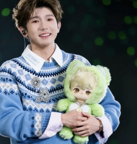 TFboys王源阿源演唱会周边20cm棉花娃娃可爱毛绒玩偶同款明星公仔