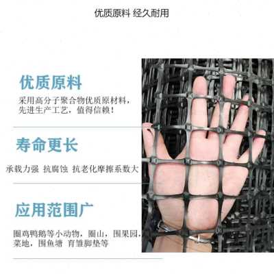 好货新品塑料土e工格栅黑色胶网格养殖网养鸡围栏护栏网户外家用