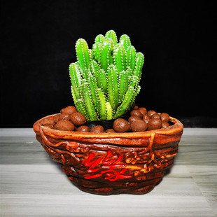 多肉万重山盆栽绿植开花仙人球组合办公室桌面喜阳室内仙人掌植物