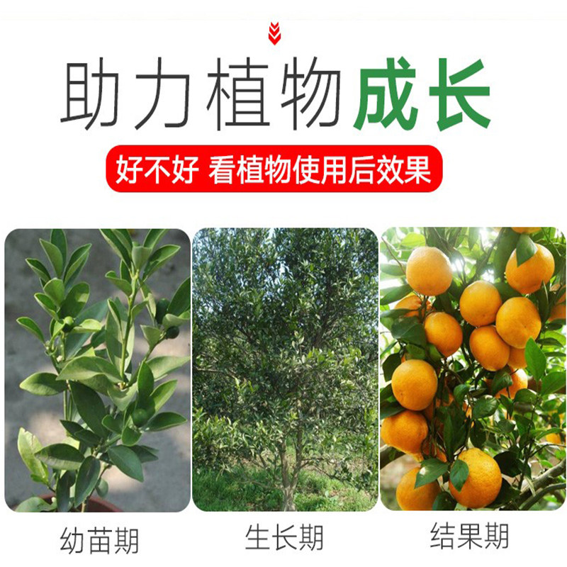 极速金桔树肥料金桔专用肥桔子树柑桔肥料营养液橘子树复合肥盆栽