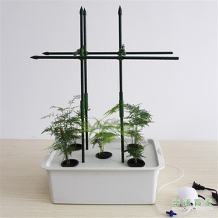 极速幸运买家无土栽培花盆番茄黄A瓜文竹果蔬绿植5孔增氧型水培种