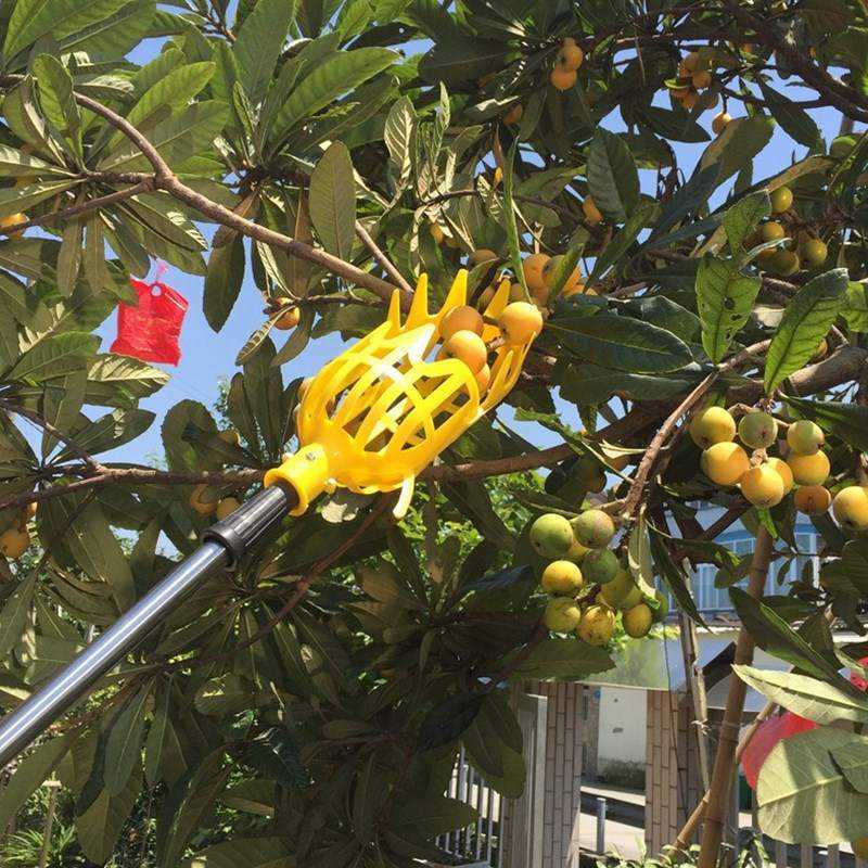 极速伸缩采果g摘杨桃采摘香榧高空神器 枇杷果树山核桃工具水果可
