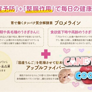 极速Wooly凤梨酵素60粒A兔子龙猫荷兰猪仓鼠化毛营养品