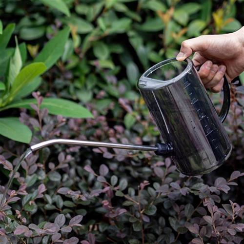 极速认准抖音12不锈钢长t嘴浇水壶多肉的洒水壶园艺盆栽绿植浇花