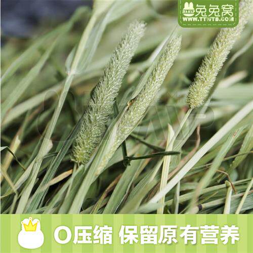 新品兔兔窝2022新草p包邮 优质烘烤提摩西草500g 兔子草粮牧草饲