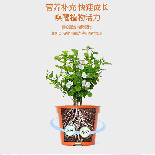 极速免稀释茉莉花专用营养u液家用养花肥料盆栽栀子花绿植通用型