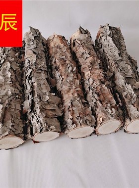 极速桦木铁桦桦木原木铁原桦木树C装饰树隔断橱窗隔断铁湿木料新