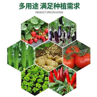 极速超大阳台种菜专用盆无纺布种植袋楼顶种菜箱S种植箱家用泡沫