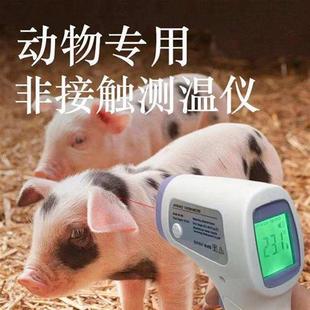 极速兽用体温枪猪用牛羊马测温仪C红外线高精度充电款体温计猫咪