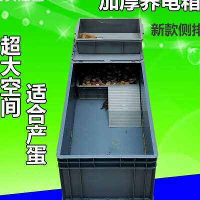 极速加厚养龟箱乌龟缸水陆缸带产蛋沙盘龟鳖缸组合式塑料饲养箱爬