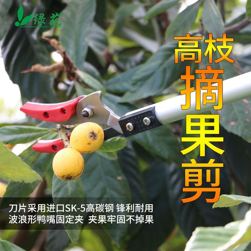 好货摘果神器高空摘果剪修枝果树剪刀摘果剪高枝锯枇杷剪伸缩荔枝