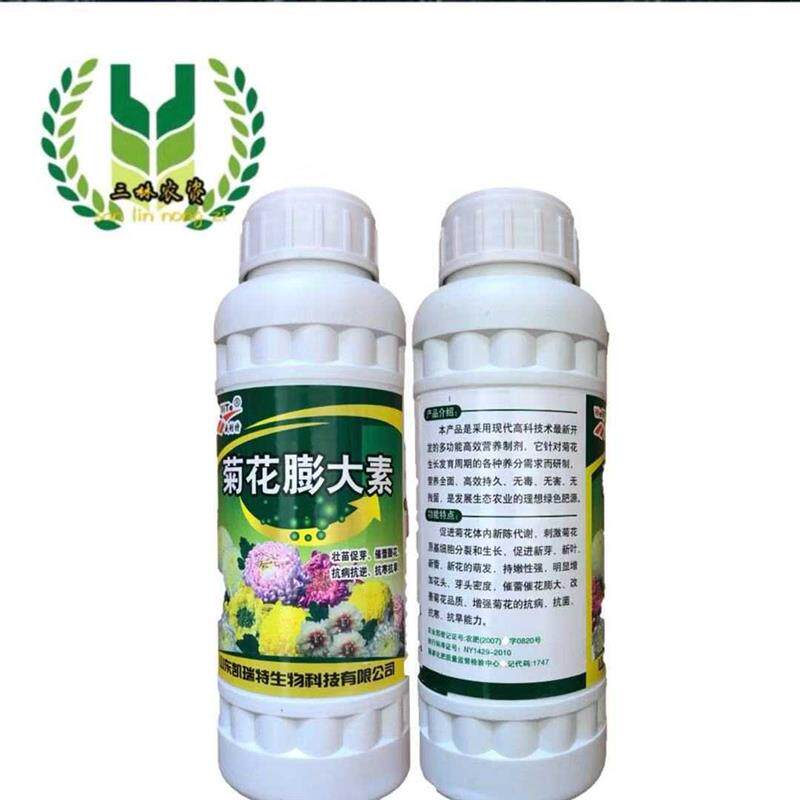 极速菊花膨大素菊花膨大增产专用催蕾膨花抗病抗逆菊花专用叶面肥