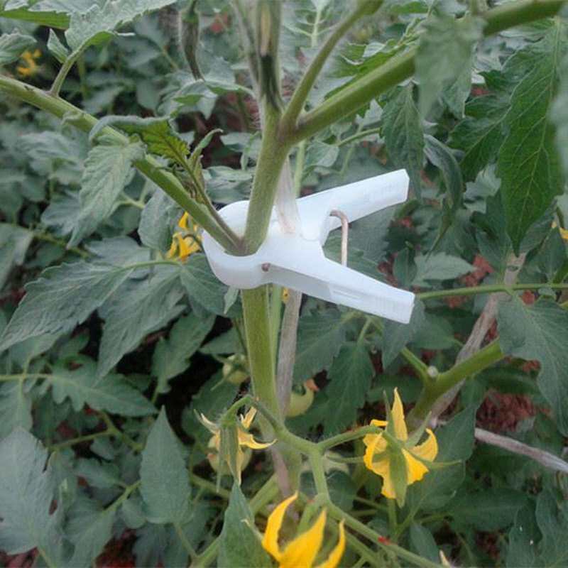 黄瓜夹子小番茄捆绑农场吊线白色蕃茄红色吊蔓夹子南瓜尖椒
