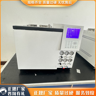 环境监测专用气相色谱仪 ECD检测器 支持EPA标准方法