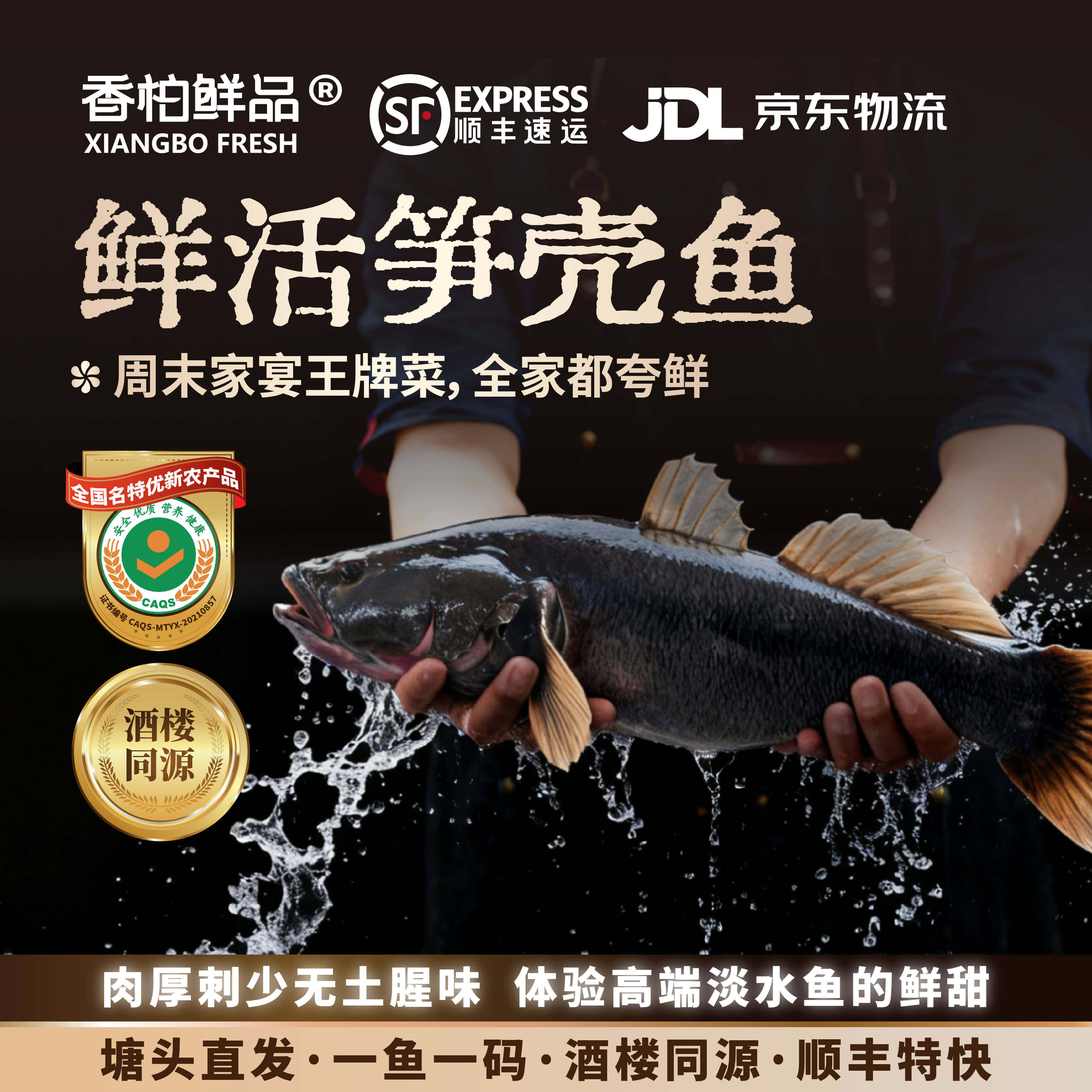【生鲜特快】香柏鲜品笋壳鱼海鲜水产淡水鱼清蒸红烧鲜活整条精品