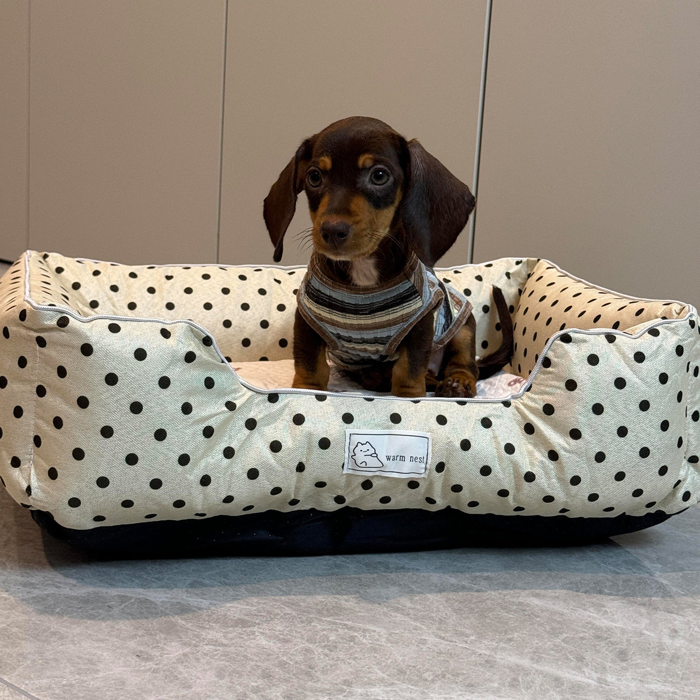波点狗窝四季通用可拆洗中小型犬猫咪通用新型睡垫腊肠犬趴趴垫