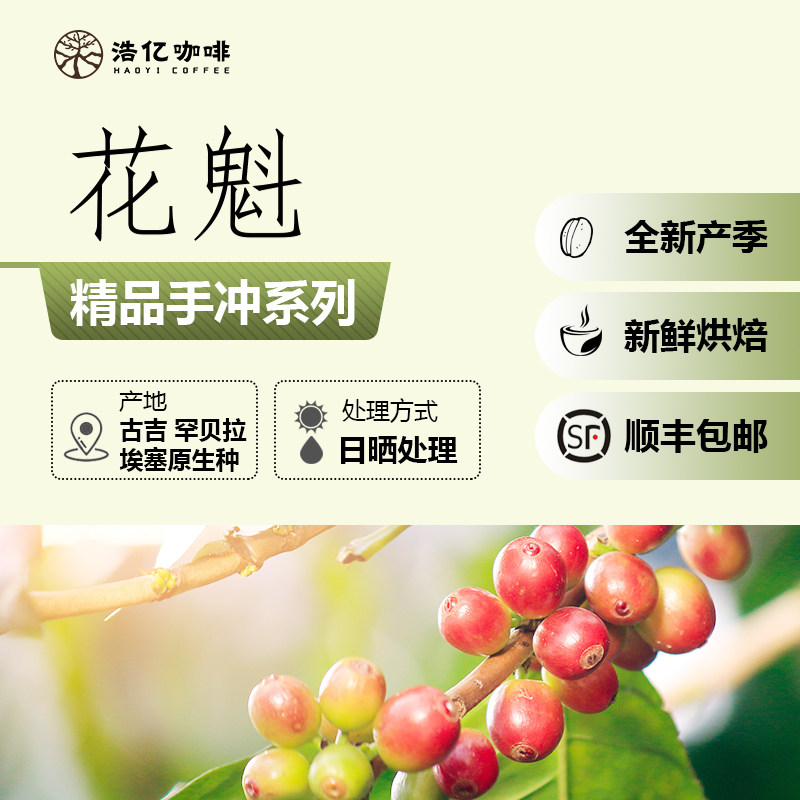 甄选花魁埃塞古吉罕贝拉咖啡豆