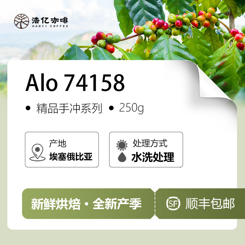 埃塞俄比亚空运Alo74158咖啡豆