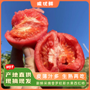 自然熟沙瓤番茄新鲜 陕西正宗普罗旺斯西红柿生吃当季 陇优鲜