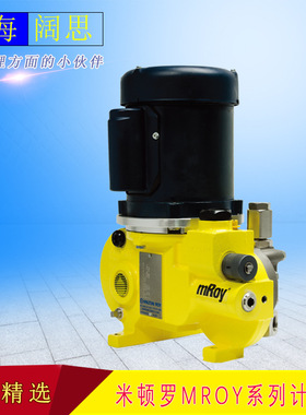 MiltonRoy米顿罗液压计量泵MRB11-K25R1APPNNNNY化工加药泵