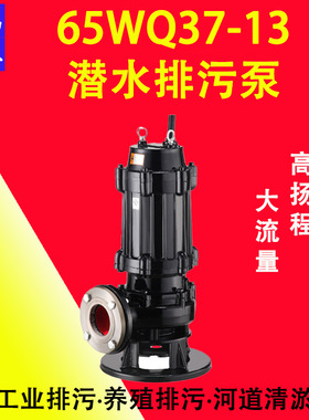 65WQ37-13-3 WQ型潜水排污泵工业排水市政排污全铜电机无堵塞JYQW