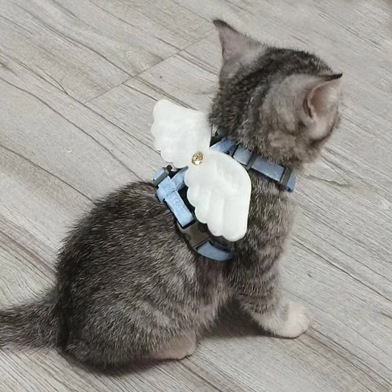 溜猫绳牵引绳猫咪可爱小翅膀外出专用防挣脱宠物狗狗小型犬遛狗链,宠物/宠物食品及用品,猫牵引绳,淘宝优惠券,粉丝福利购,淘宝优惠卷