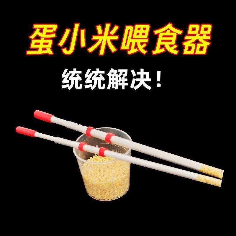【热卖推荐】鹦鹉喂食器小太阳蛋手养珍珠十姐妹牡丹喂食喂米雏鸟