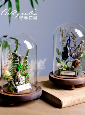 昆虫标本动物植物标本玻璃罩生态微景观甲壳虫朋克科普软装摆件