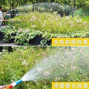 充电式浇菜水泵农用灌溉户外6分管大流量大功率12v水泵井水抽水机